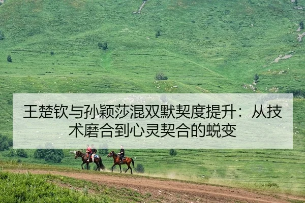 wang-chu-qin-yu-sun-ying-sha-hun-shuang-mo-qi-du-ti-sheng-cong-ji-shu-mo-he-dao-xin-ling-qi-he-de-tui-bian-2-788.jpg