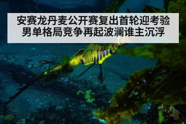 安赛龙丹麦公开赛复出首轮迎考验 男单格局竞争再起波澜谁主沉浮